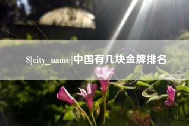 庄河中国有几块金牌排名