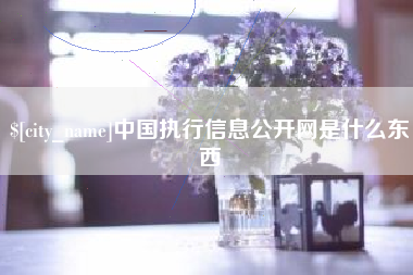 庄河中国执行信息公开网是什么东西
