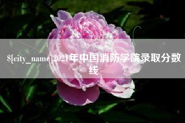 庄河2021年中国消防学院录取分数线