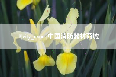 庄河中国消防器材商城