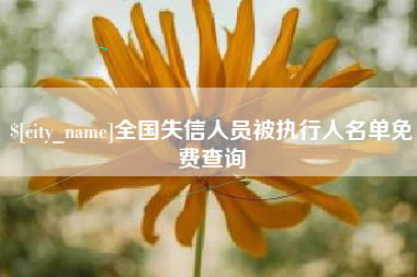 庄河全国失信人员被执行人名单免费查询