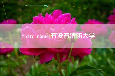 庄河有没有消防大学
