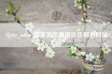 庄河国家消防救援队伍报名网址