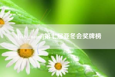 庄河第七届亚冬会奖牌榜