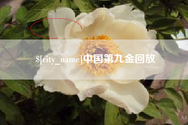 庄河中国第九金回放