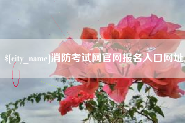 庄河消防考试网官网报名入口网址