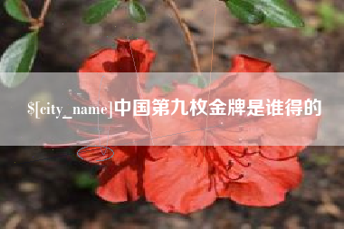 庄河中国第九枚金牌是谁得的