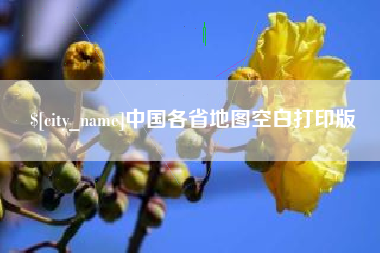 庄河中国各省地图空白打印版