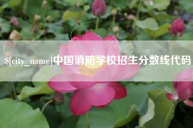 庄河中国消防学校招生分数线代码