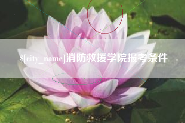 庄河消防救援学院报考条件