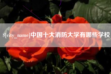 庄河中国十大消防大学有哪些学校