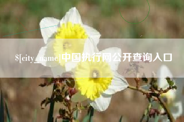 庄河中国执行网公开查询入口