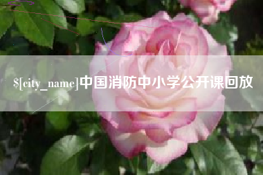 庄河中国消防中小学公开课回放