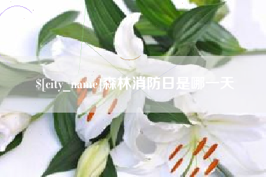 庄河森林消防日是哪一天