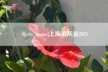庄河上海消防员2021