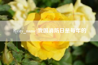 庄河我国消防日是每年的