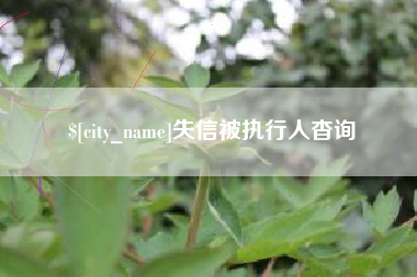 庄河失信被执行人杳询