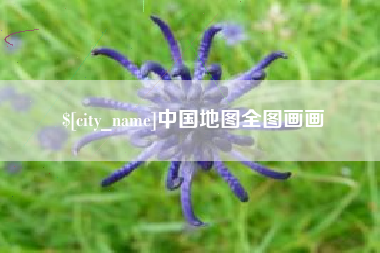庄河中国地图全图画画