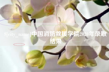 庄河中国消防救援学院2020年录取结果