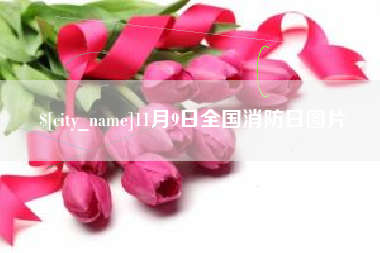 庄河11月9日全国消防日图片