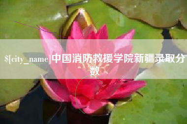 庄河中国消防救援学院新疆录取分数