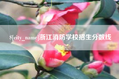 庄河浙江消防学校招生分数线
