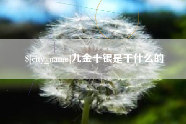 庄河九金十银是干什么的