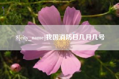 庄河我国消防日几月几号