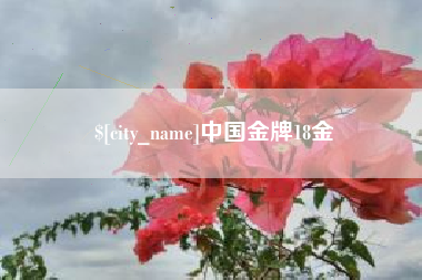 庄河中国金牌18金