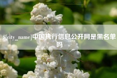 庄河中国执行信息公开网是黑名单吗