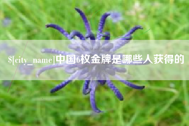 庄河中国6枚金牌是哪些人获得的