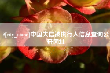 庄河中国失信被执行人信息查询公开网址