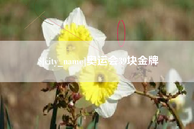 庄河奥运会39块金牌