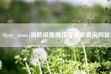 庄河消防设施操作员证书查询网址
