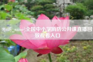 庄河全国中小学消防公开课直播回放观看入口