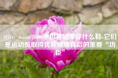 庄河5000米世界冠军穿什么鞋-它们是运动员取得优异成绩背后的重要“功臣”