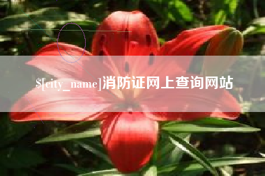 庄河消防证网上查询网站