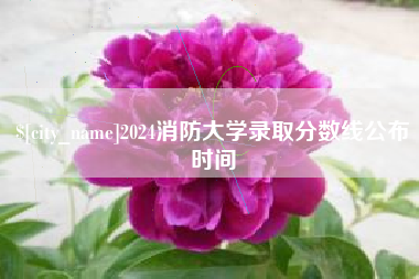 庄河2024消防大学录取分数线公布时间