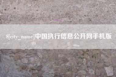 庄河中国执行信息公开网手机版