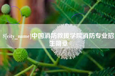 庄河中国消防救援学院消防专业招生简章