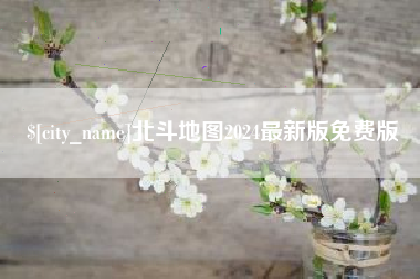 庄河北斗地图2024最新版免费版