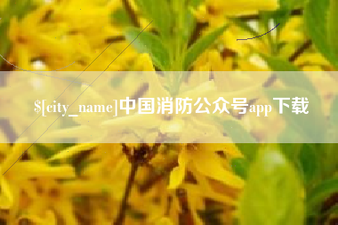 庄河中国消防公众号app下载