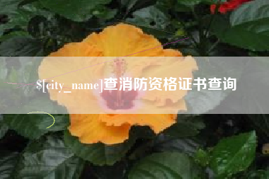 庄河查消防资格证书查询