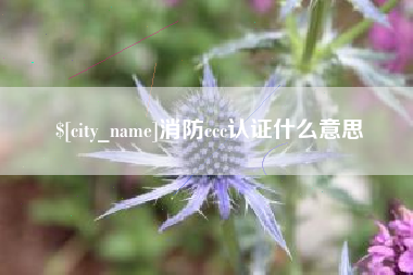 庄河消防ccc认证什么意思