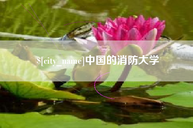 庄河中国的消防大学