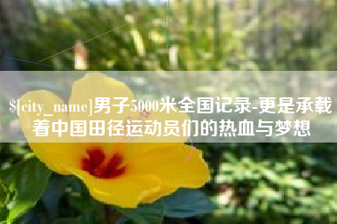 庄河男子5000米全国记录-更是承载着中国田径运动员们的热血与梦想