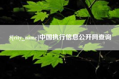 庄河中国执行信息公开网查询