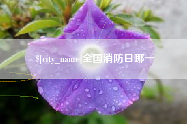 庄河全国消防日哪一