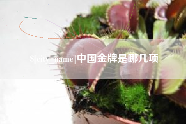 庄河中国金牌是哪几项