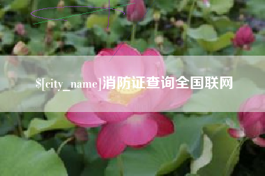 庄河消防证查询全国联网